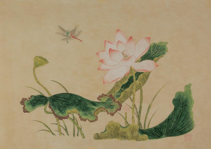 dragonflies flying above tulips and pedals